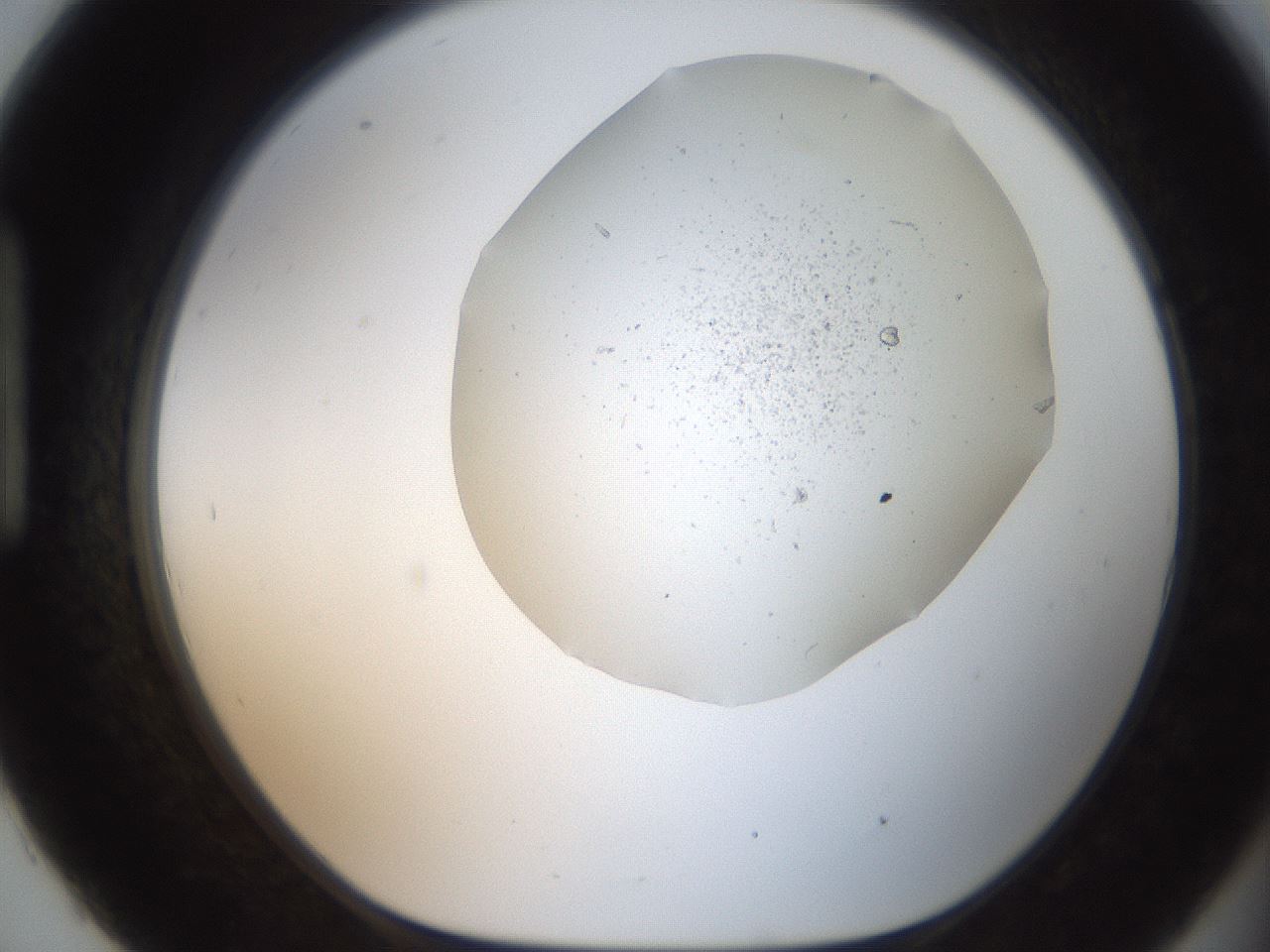 folderID327_plateID2327_batchID10632_wellNum93_profileID1_d1_r164223_ef.jpg