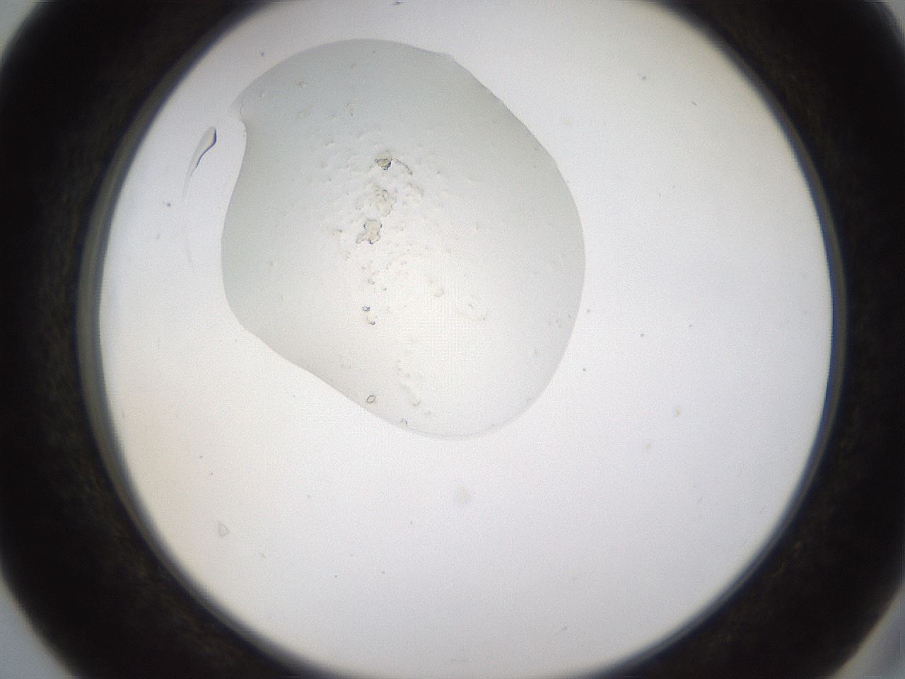 folderID367_plateID1367_batchID4973_wellNum40_profileID1_d2_r83039_ef.jpg