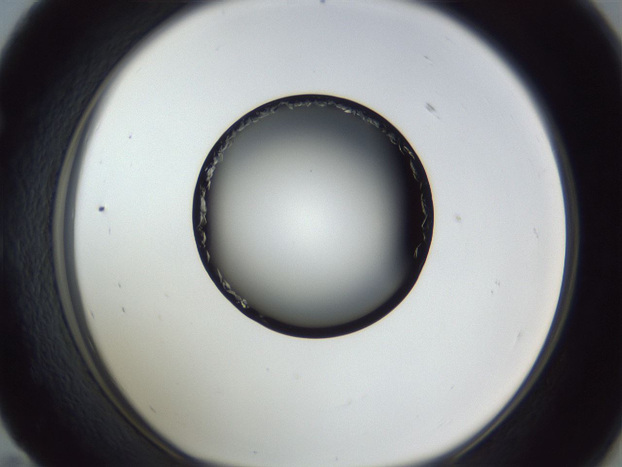 folderID364_plateID1364_batchID4799_wellNum59_profileID1_d1_r82692_ef.jpg