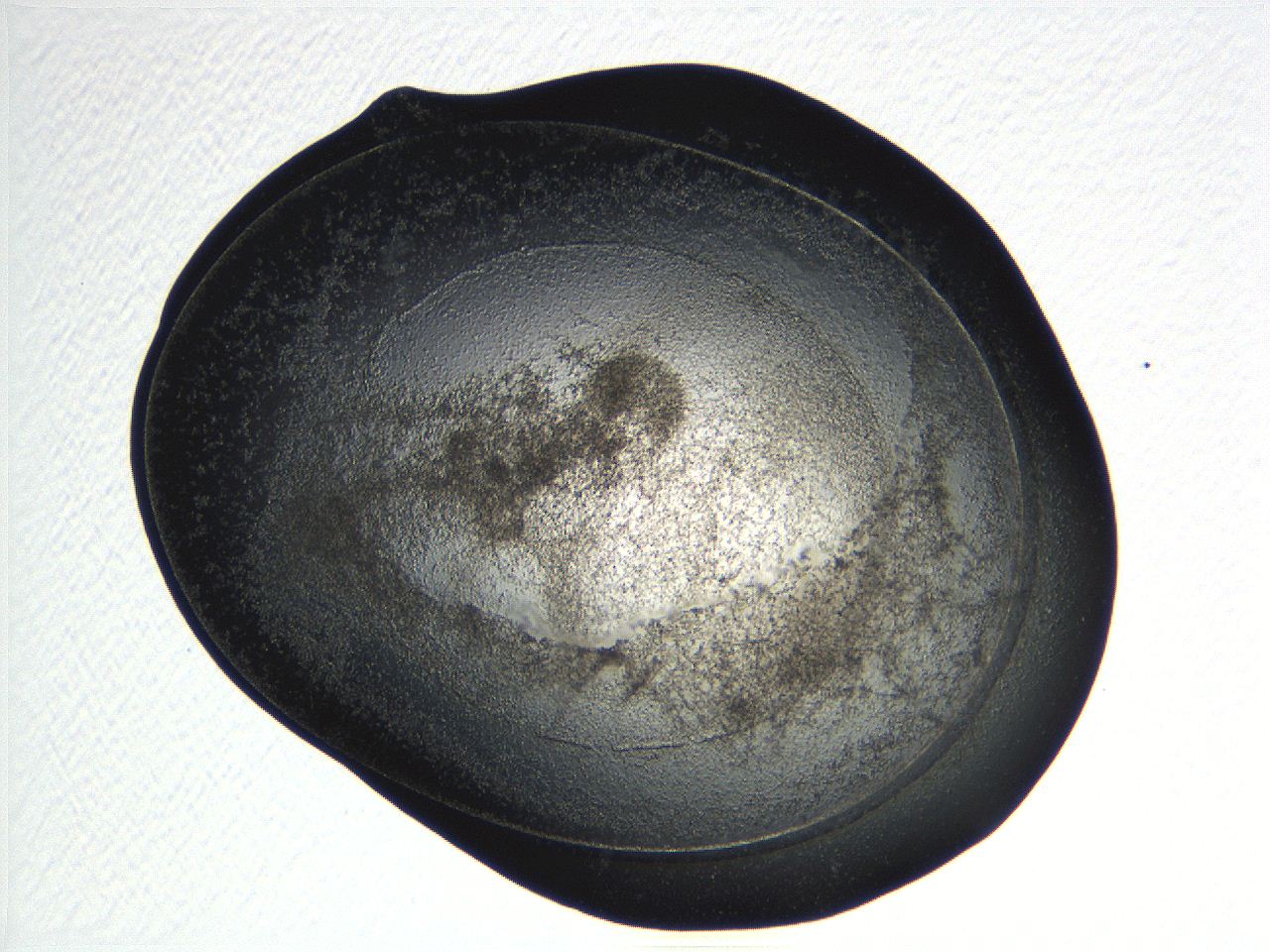 04pf_D8_ImagerDefaults_3.jpg