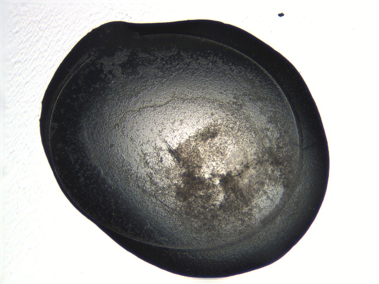 04pf_D10_ImagerDefaults_3.jpg