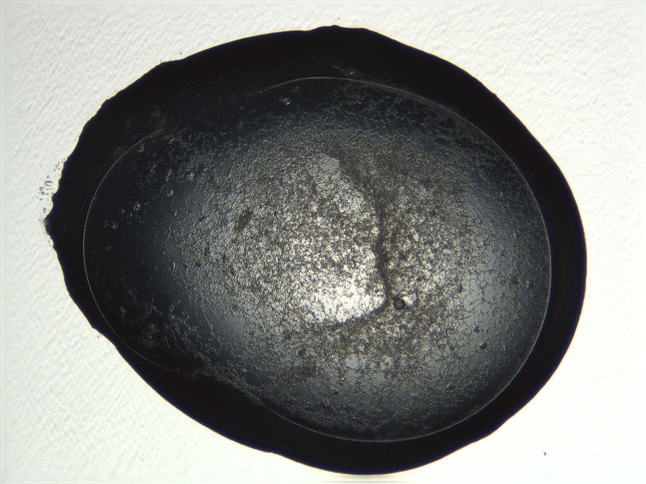 04pf_D12_ImagerDefaults_9.jpg