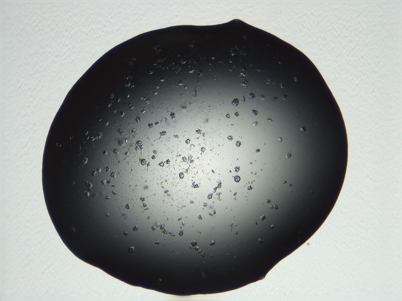 04pf_E5_ImagerDefaults_9.jpg