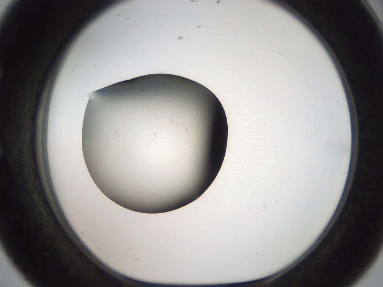 folderID400_plateID3400_batchID20112_wellNum56_profileID1_d1_r302425_ef.jpg