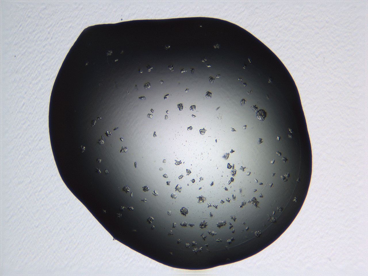 04pf_E10_ImagerDefaults_9.jpg
