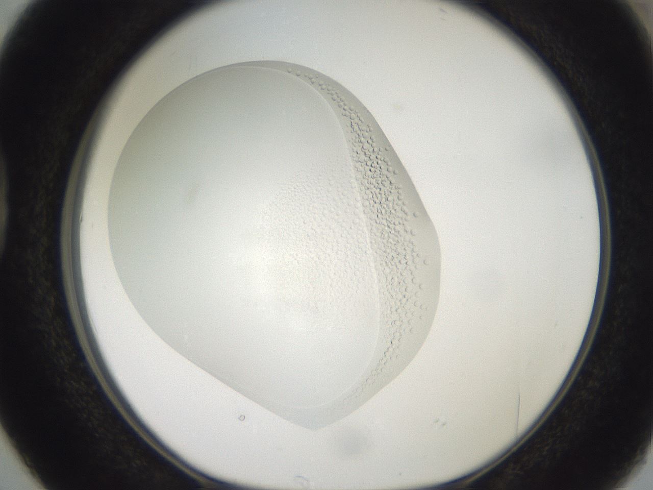 folderID411_plateID3411_batchID19922_wellNum38_profileID1_d1_r303118_ef.jpg