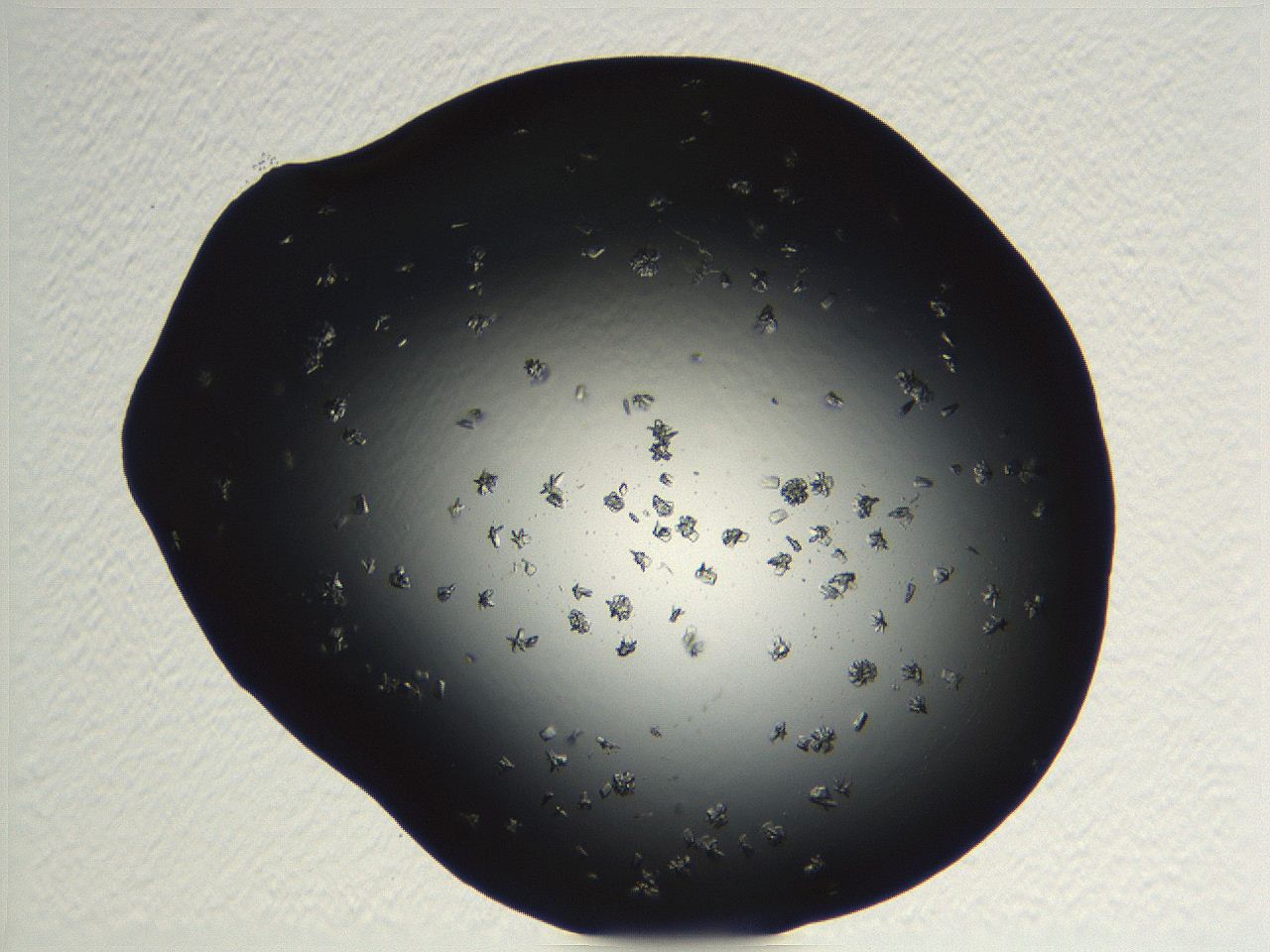 04pf_E11_ImagerDefaults_9.jpg