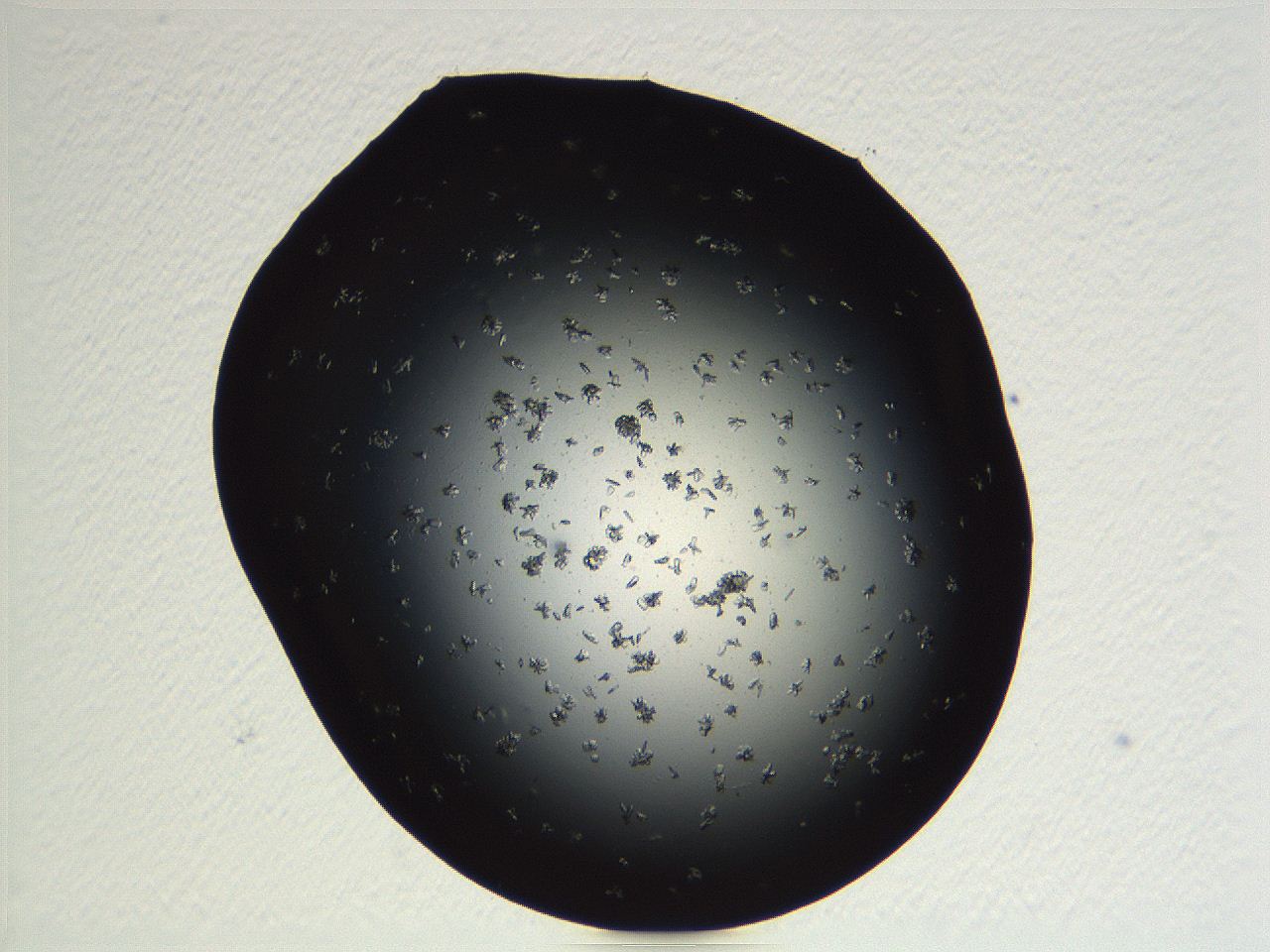 04pf_E12_ImagerDefaults_9.jpg
