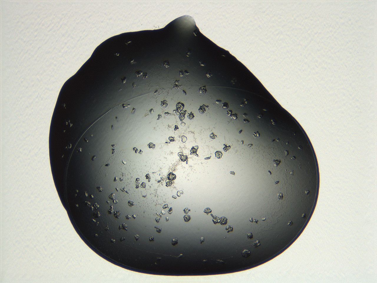 04pf_F9_ImagerDefaults_9.jpg