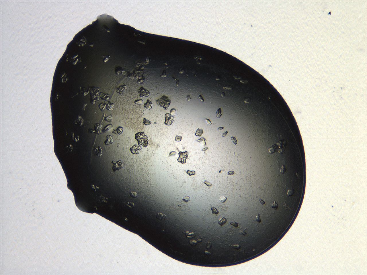 04pf_G3_ImagerDefaults_9.jpg