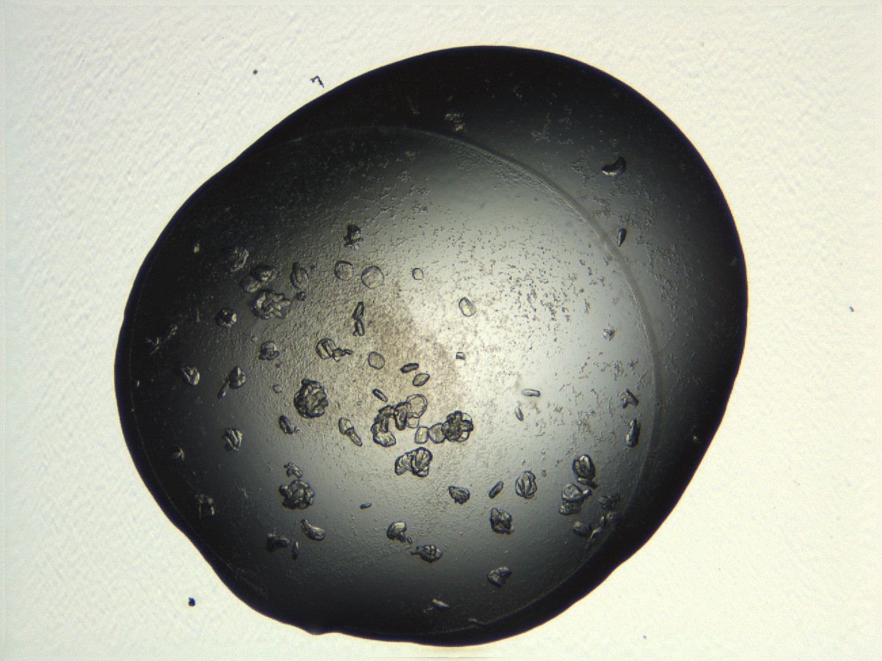 04pf_G10_ImagerDefaults_9.jpg