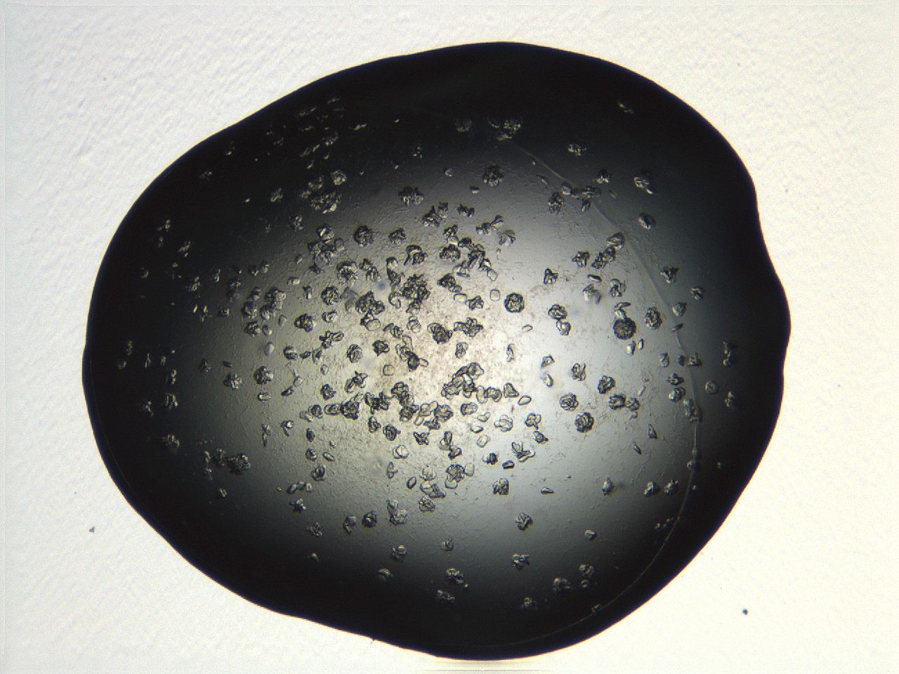04pf_G12_ImagerDefaults_9.jpg