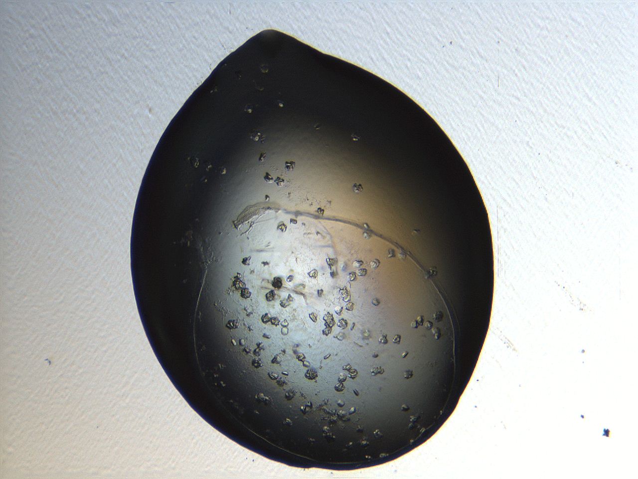 04pf_H5_ImagerDefaults_9.jpg