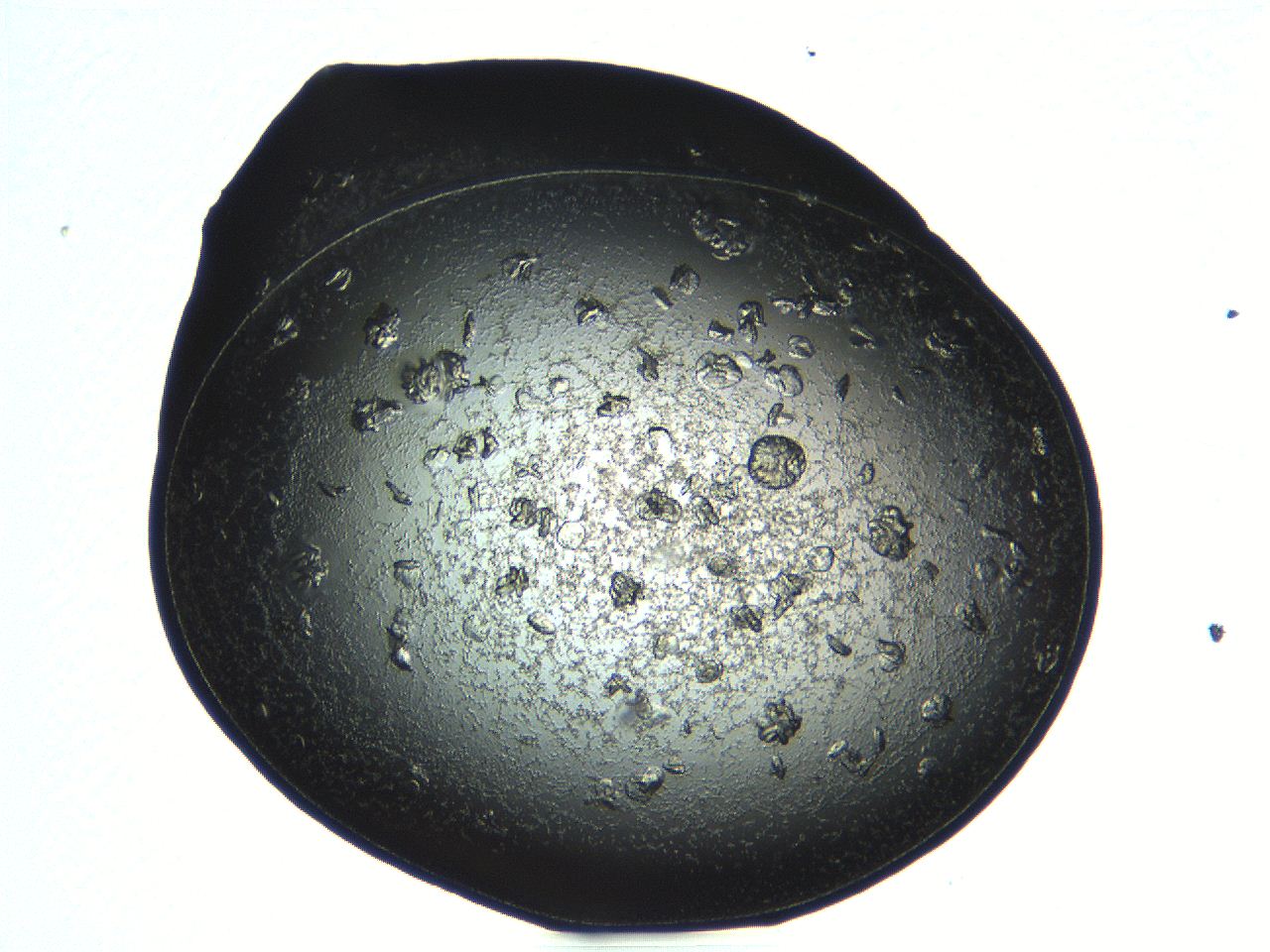 04pf_H11_ImagerDefaults_9.jpg