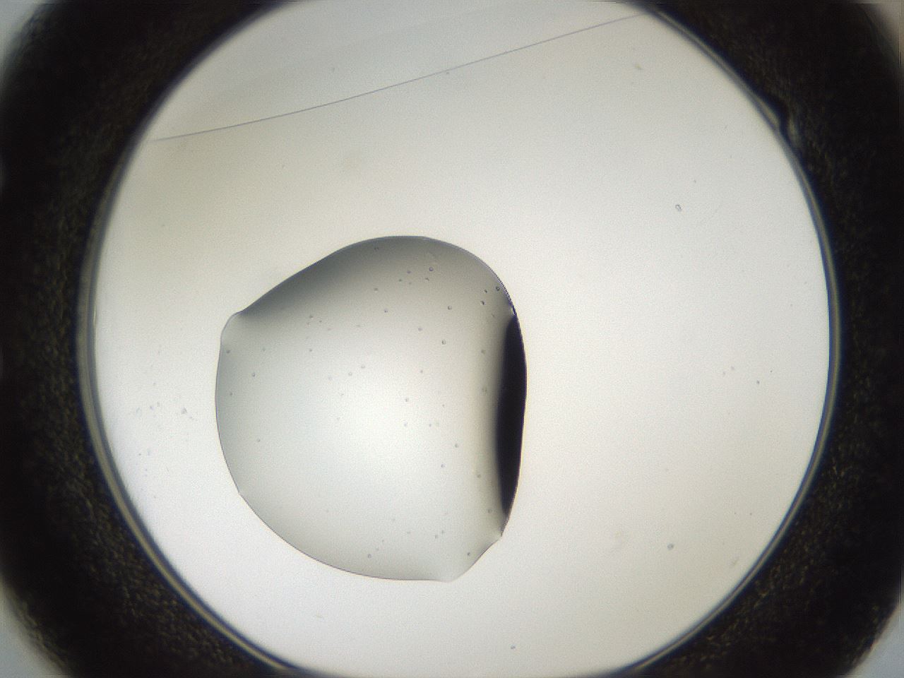 folderID508_plateID3508_batchID21534_wellNum49_profileID1_d1_r313446_ef.jpg