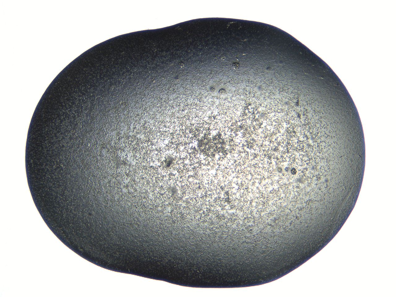 04pg_D4_ImagerDefaults_9.jpg