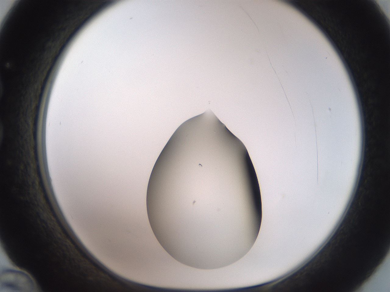 folderID547_plateID3547_batchID21039_wellNum36_profileID1_d1_r317426_ef.jpg