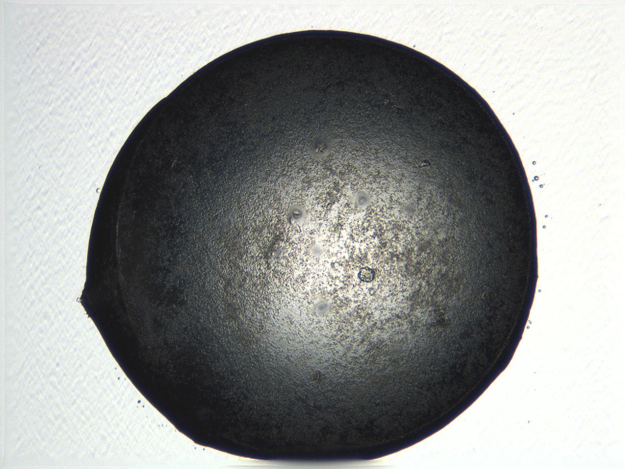 04pg_C11_ImagerDefaults_8.jpg