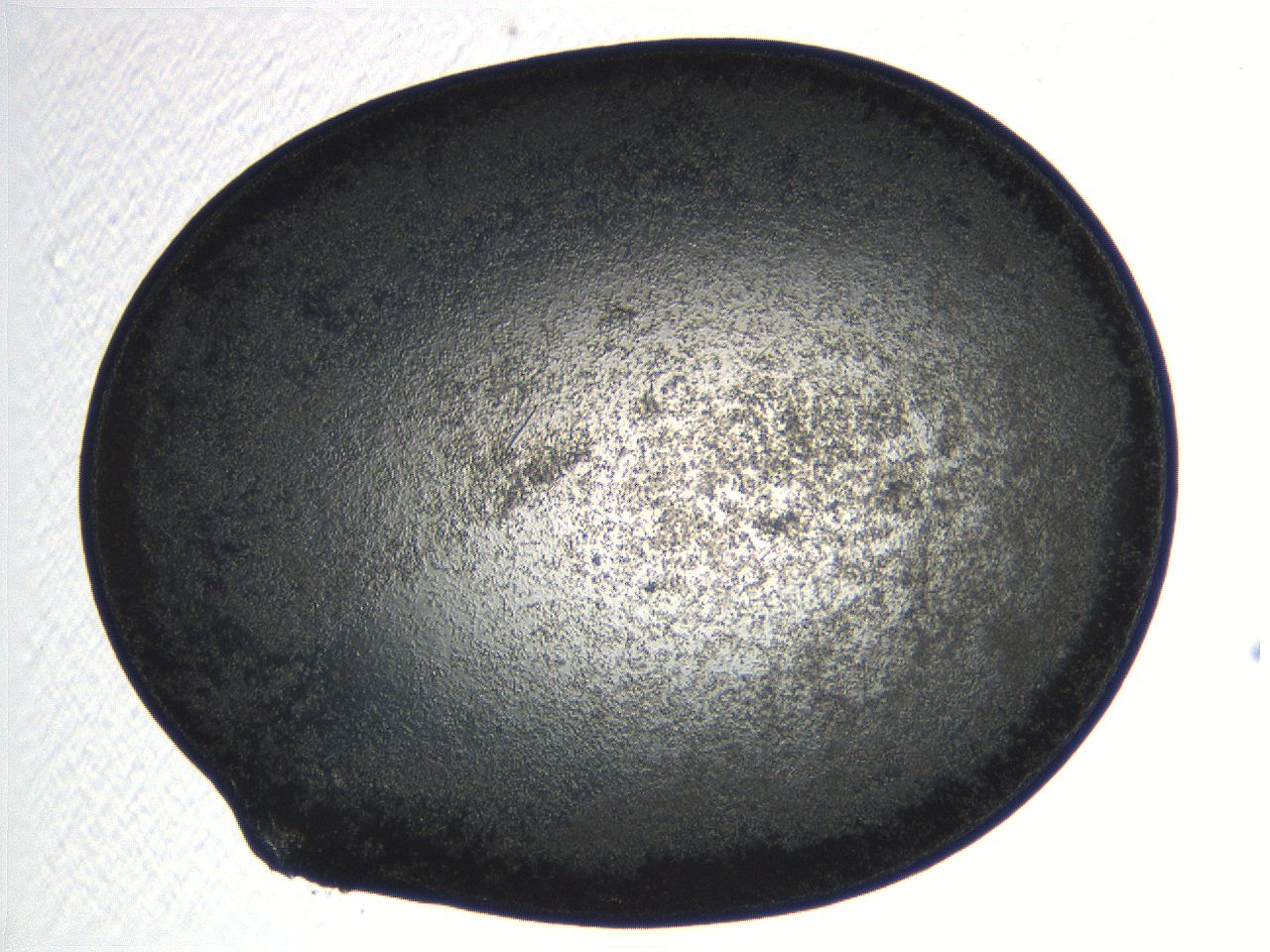 04pg_D10_ImagerDefaults_3.jpg