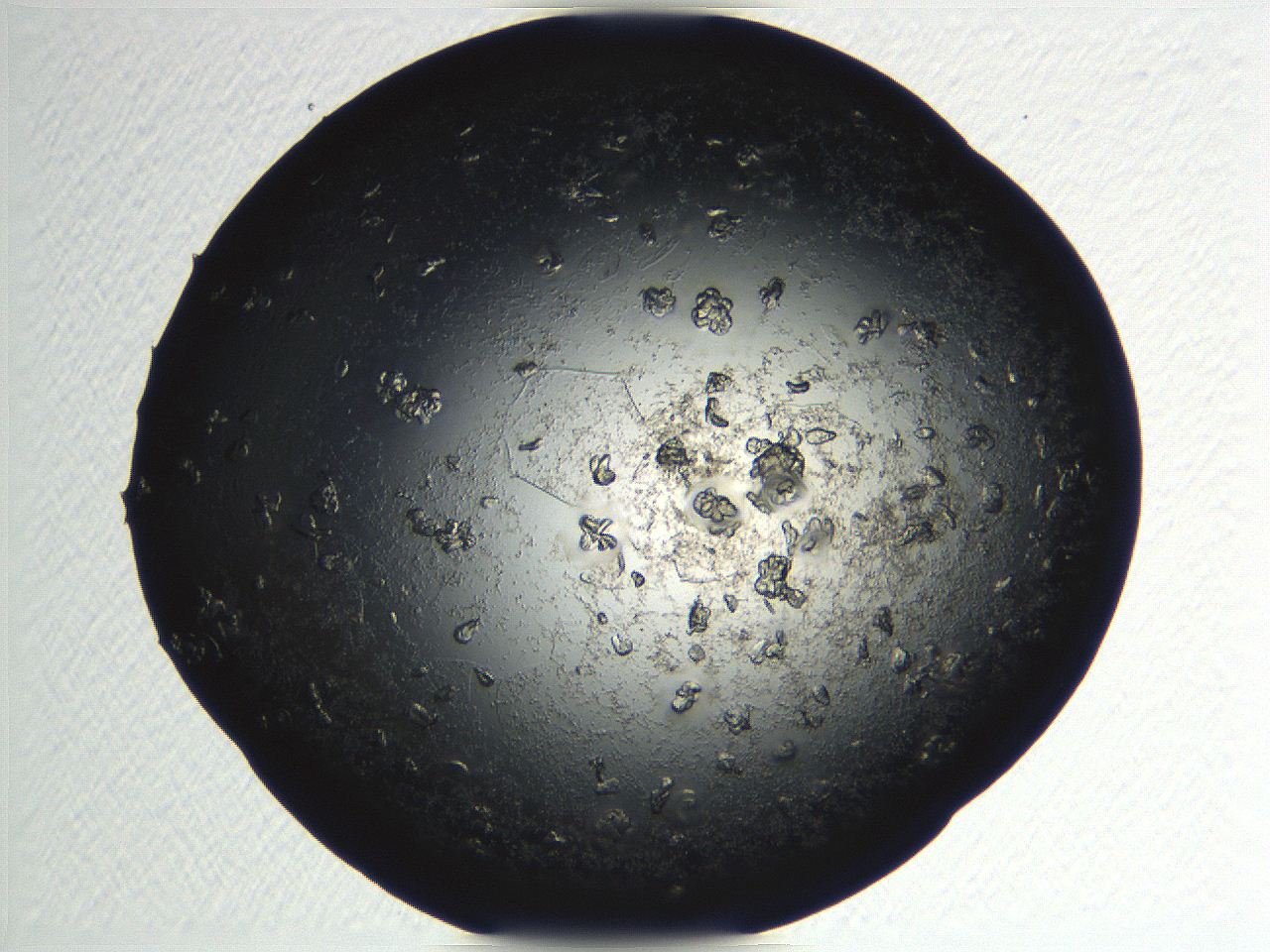 04pg_D12_ImagerDefaults_9.jpg