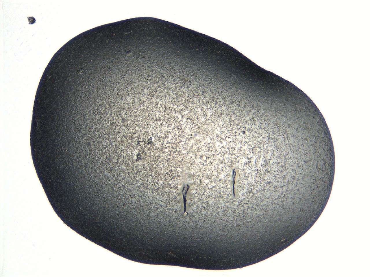 04pg_B1_ImagerDefaults_3.jpg
