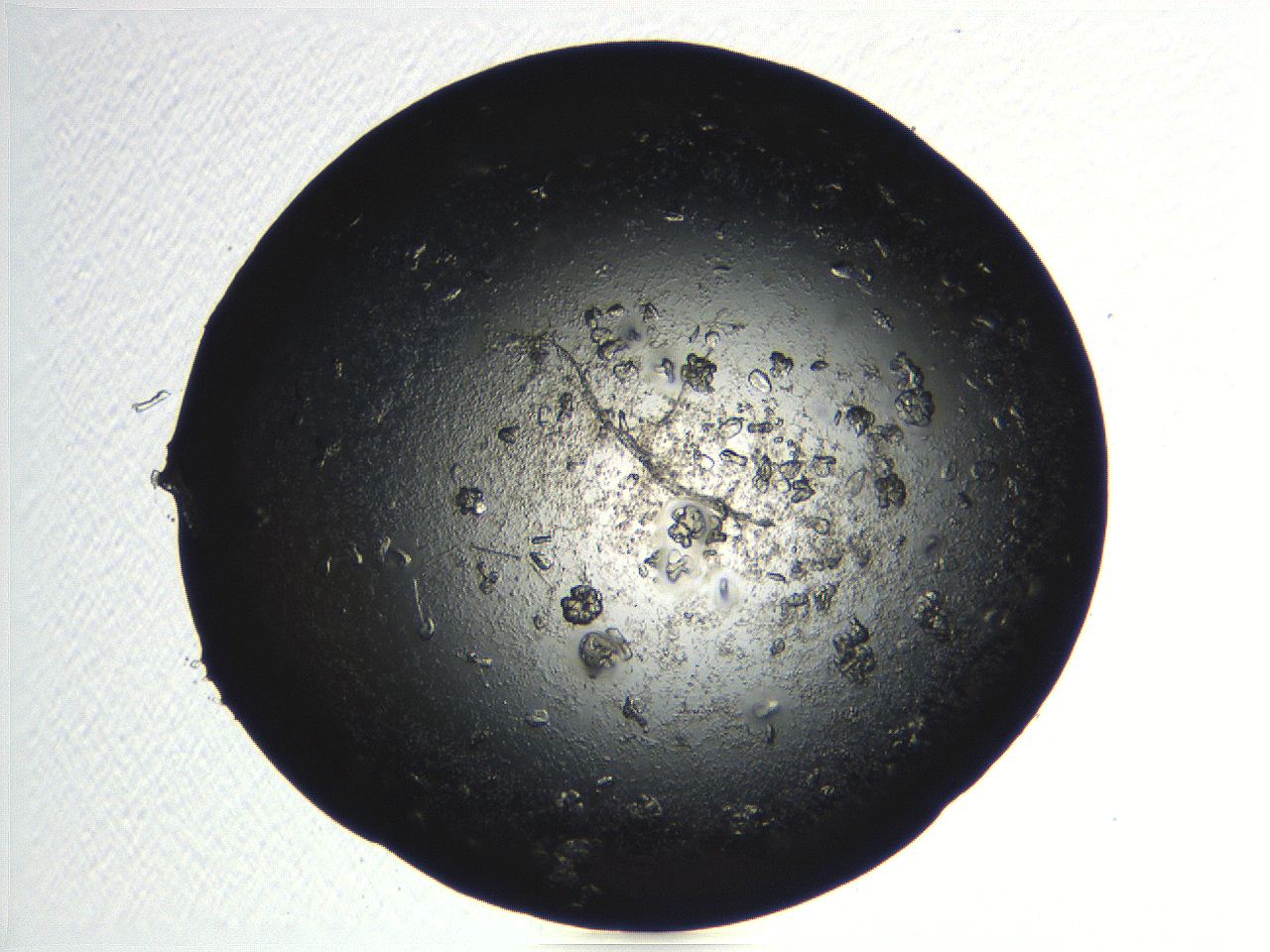 04pg_B12_ImagerDefaults_9.jpg