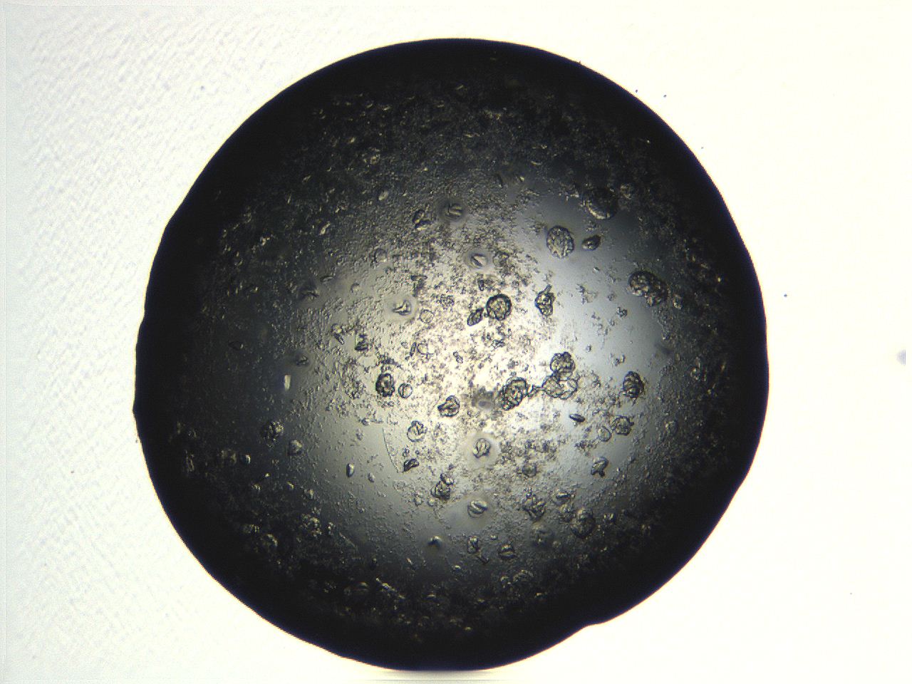 04pg_G12_ImagerDefaults_9.jpg