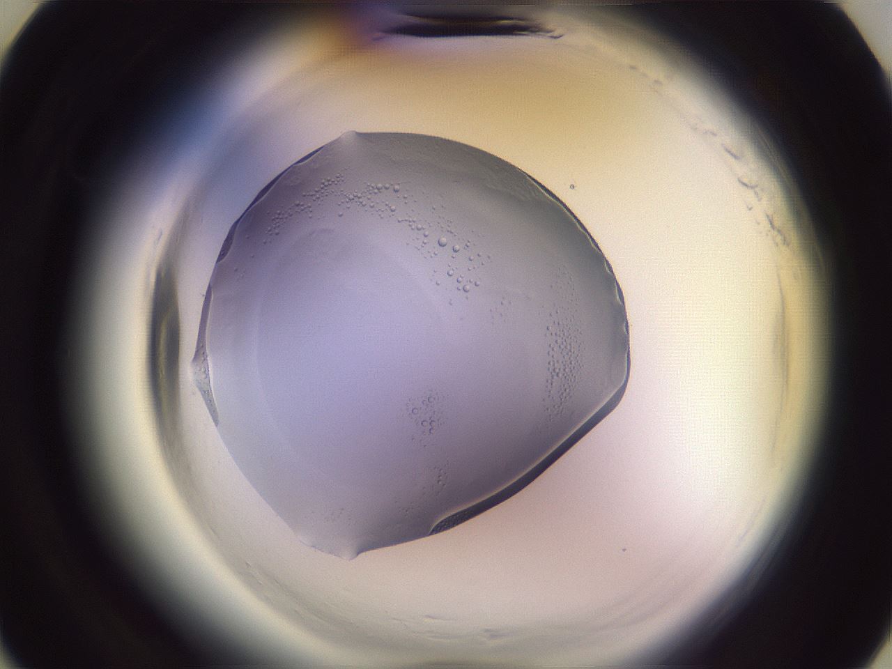 folderID600_plateID2600_batchID13432_wellNum7_profileID1_d3_r198749_ef.jpg