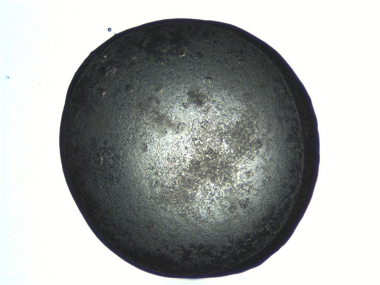 04pg_H11_ImagerDefaults_9.jpg
