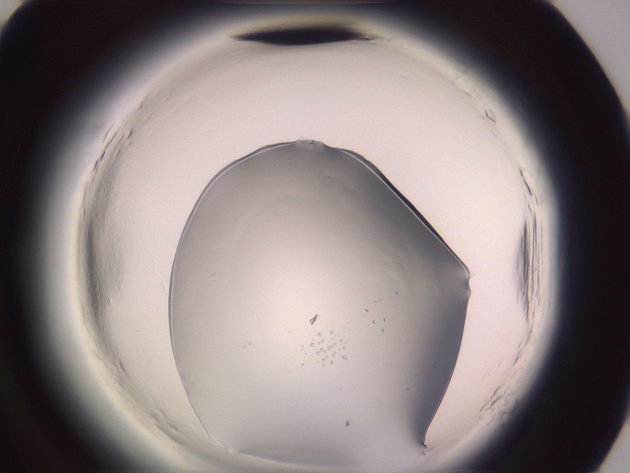 folderID605_plateID2605_batchID13444_wellNum94_profileID1_d3_r203043_ef.jpg