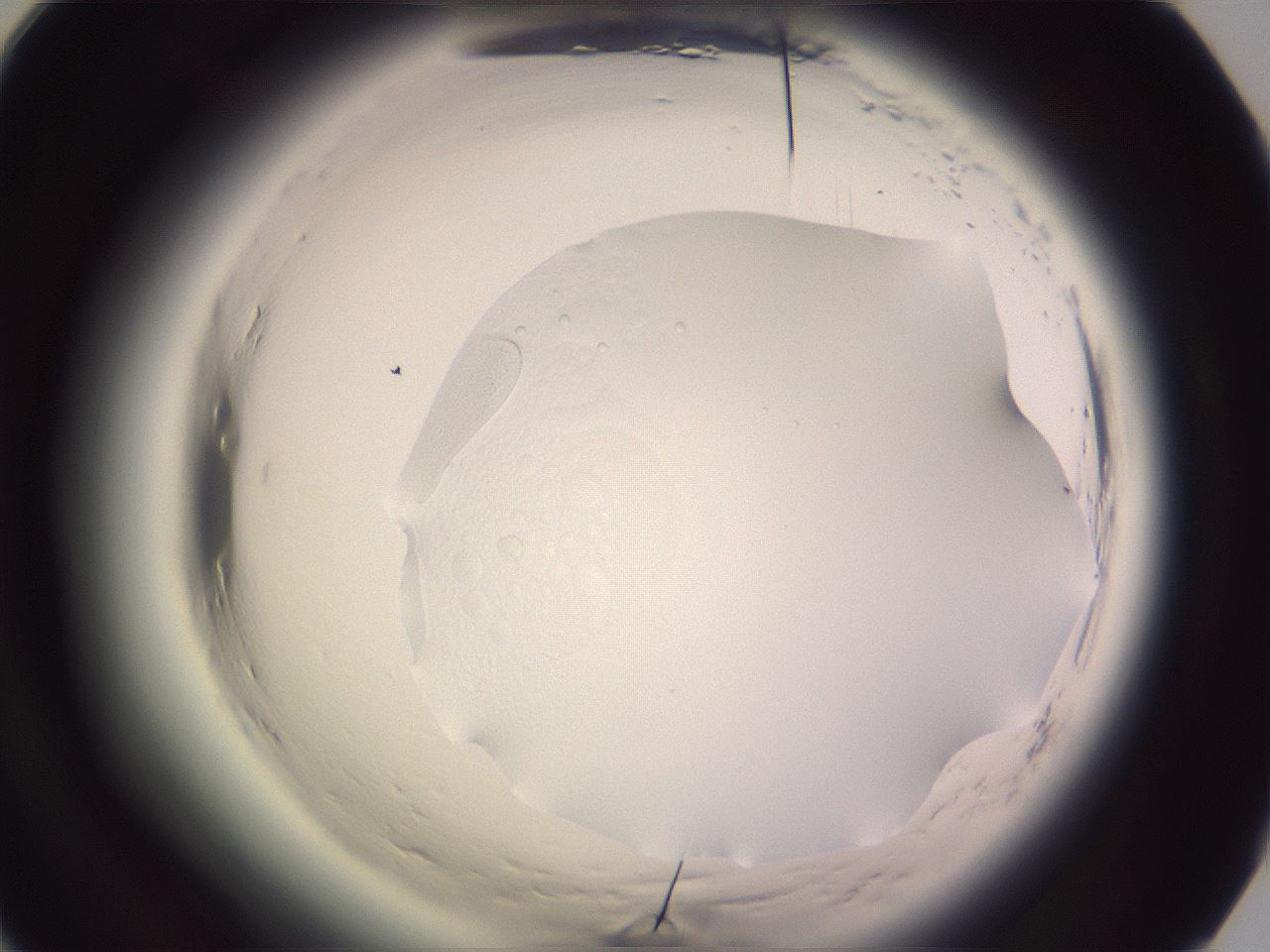 folderID606_plateID2606_batchID12781_wellNum86_profileID1_d1_r203881_ef.jpg