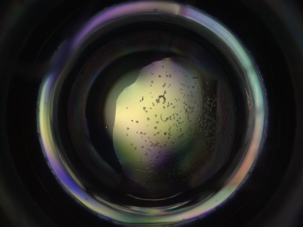 04pn_C2_ImagerDefaults_9.jpg