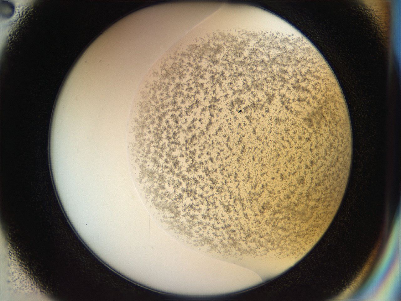 04po_E2_ImagerDefaults_6.jpg