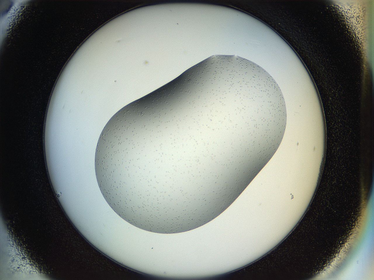 04po_C6_ImagerDefaults_9.jpg