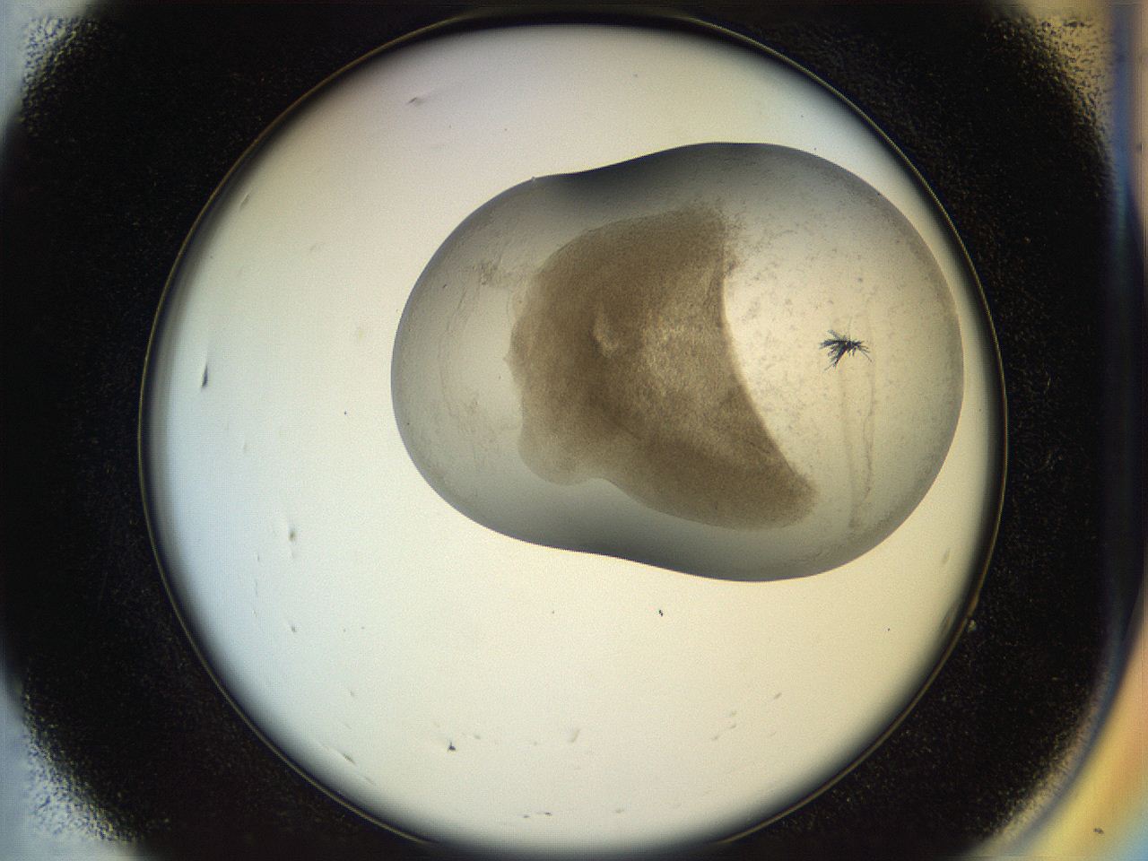 04po_A7_ImagerDefaults_6.jpg