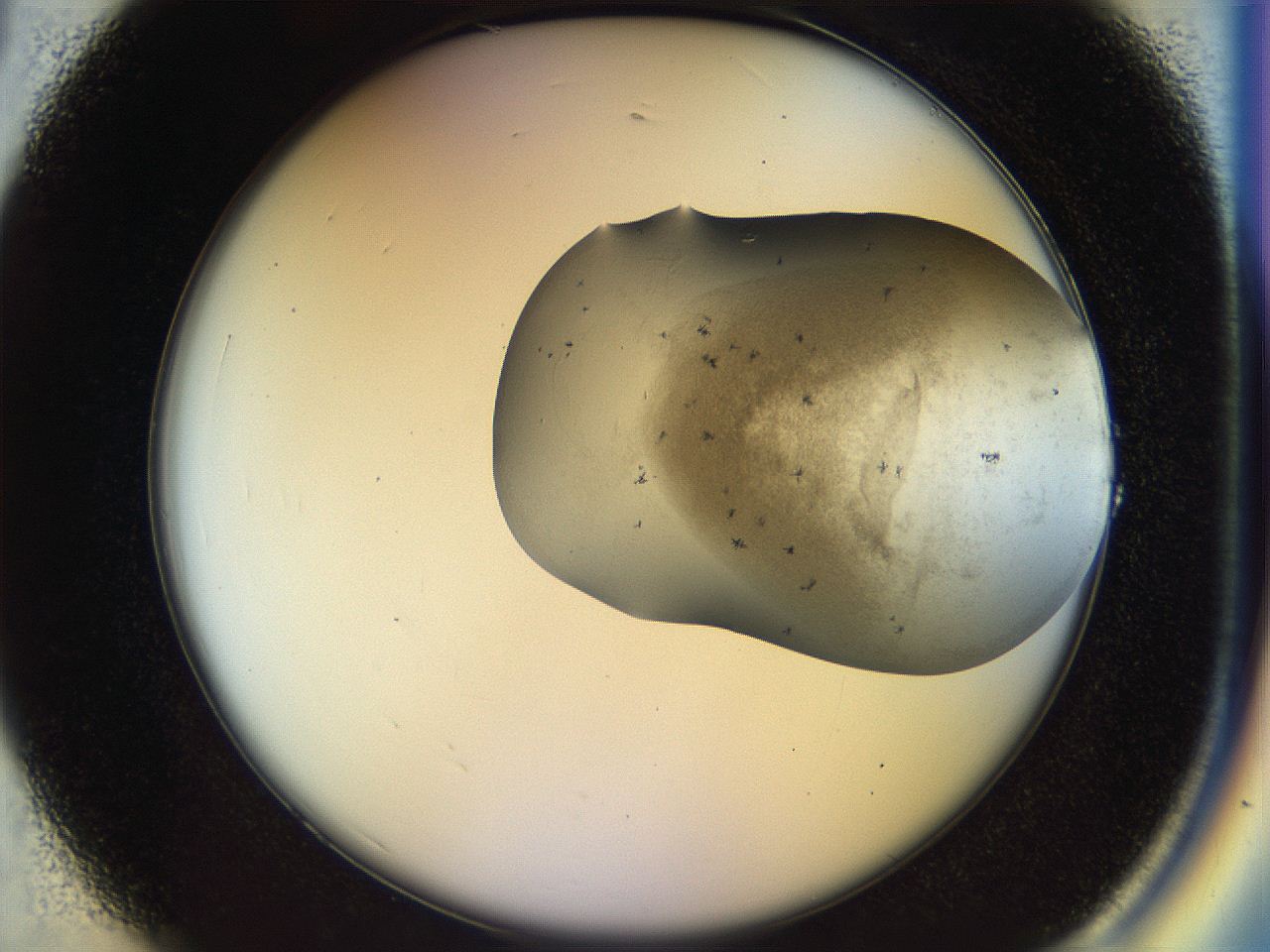 04po_A1_ImagerDefaults_6.jpg