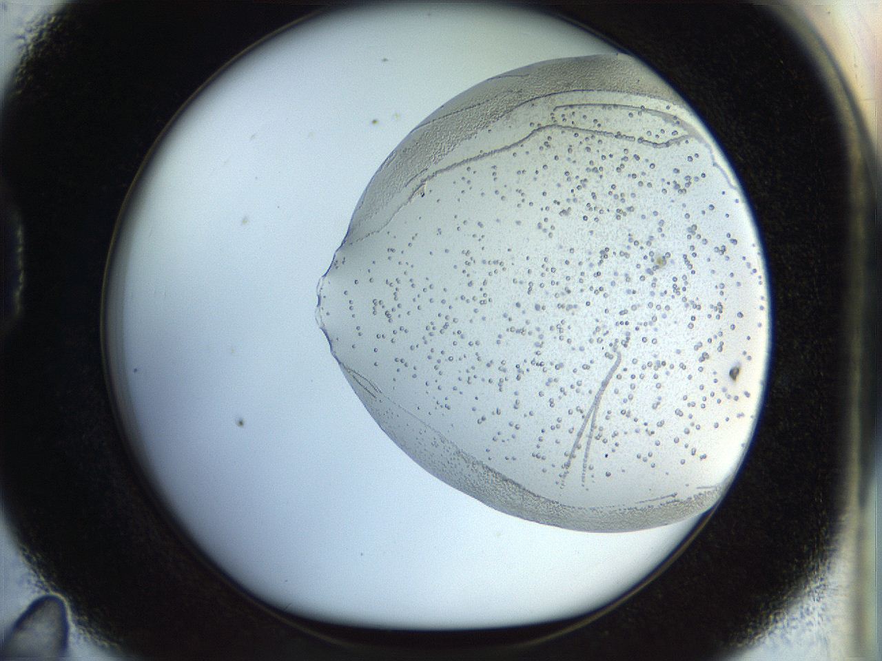 04pq_D11_ImagerDefaults_6.jpg