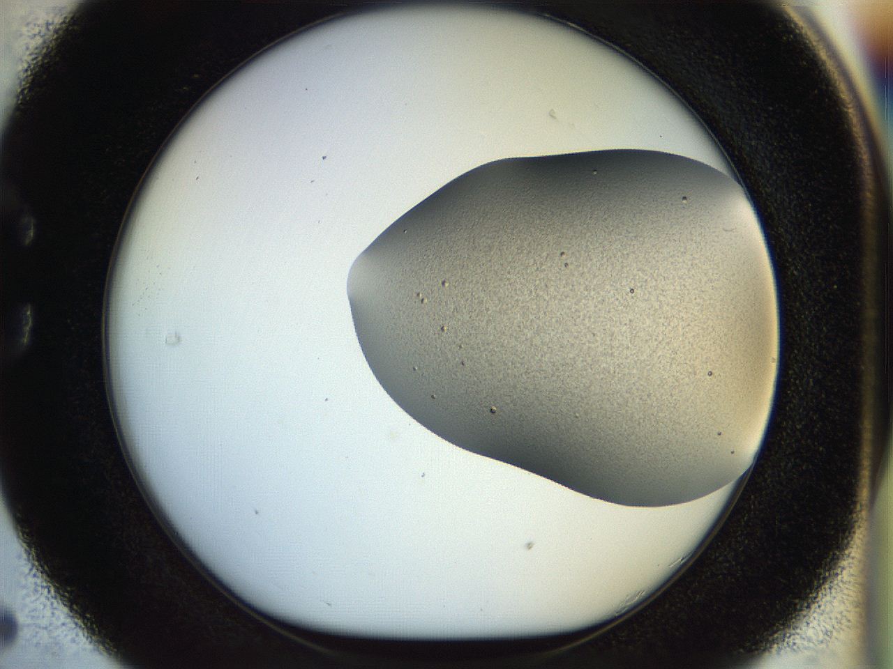 04pq_C5_ImagerDefaults_6.jpg