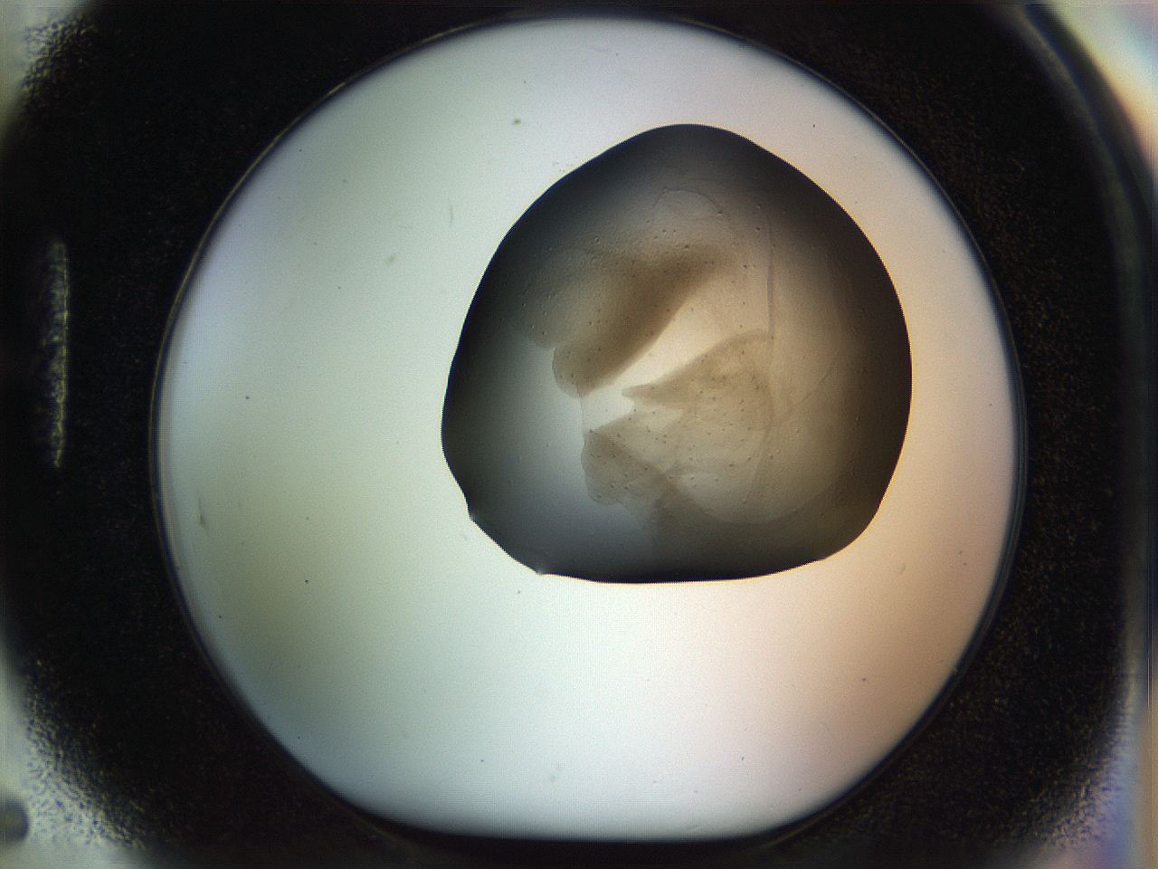 04pq_H5_ImagerDefaults_6.jpg