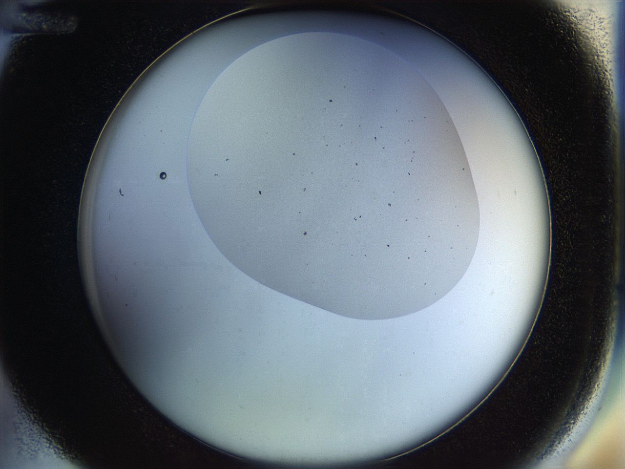 04pu_D12_ImagerDefaults_6.jpg