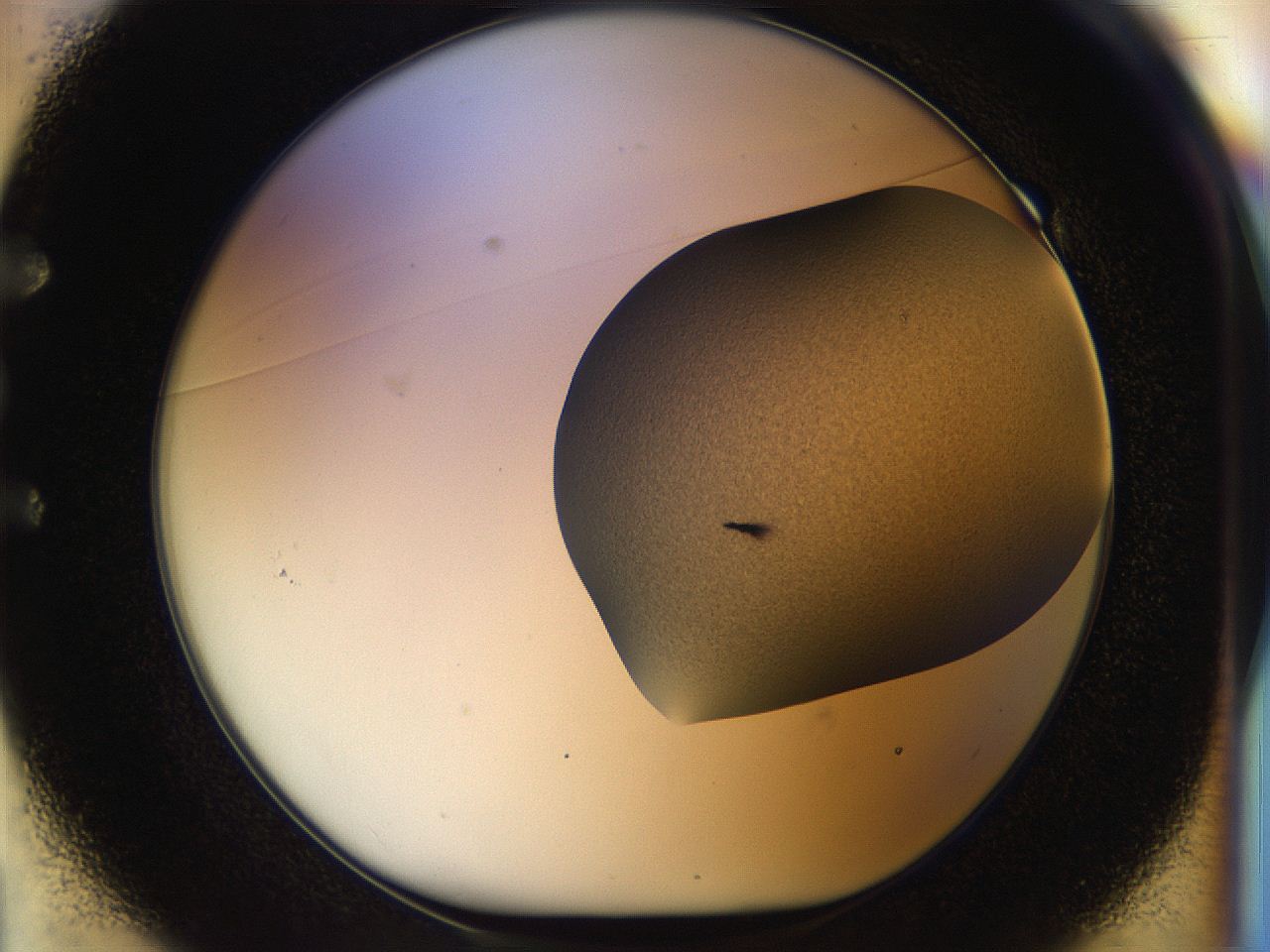 04px_E1_ImagerDefaults_6.jpg