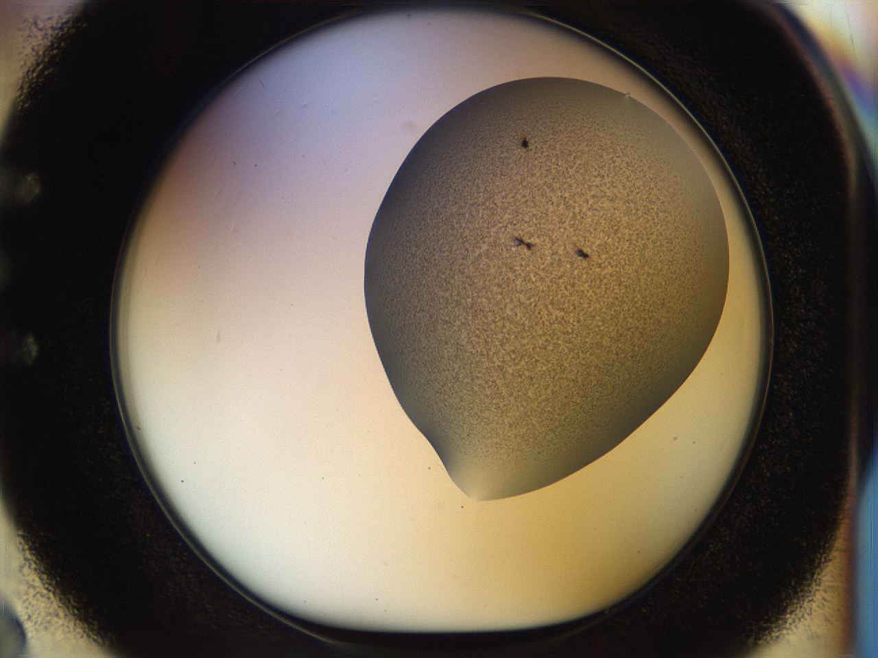 04px_E2_ImagerDefaults_6.jpg