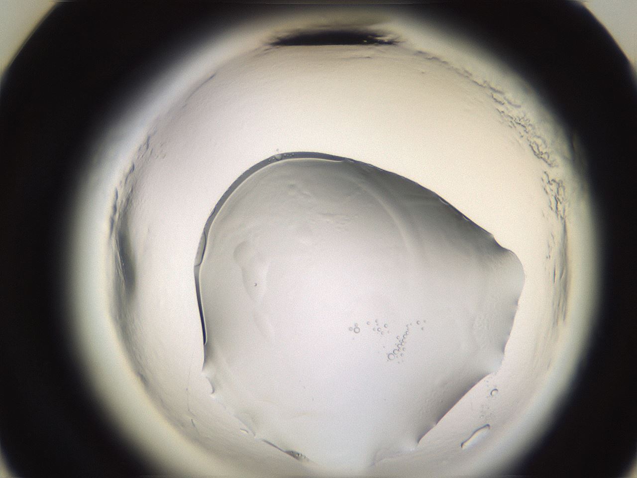 folderID611_plateID2611_batchID15124_wellNum23_profileID1_d3_r207150_ef.jpg
