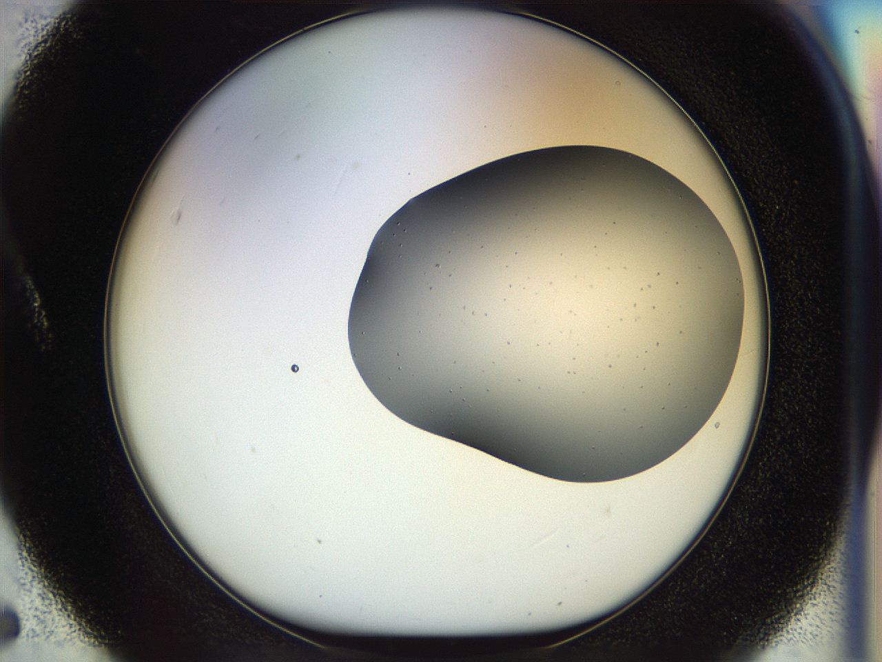 04px_A5_ImagerDefaults_6.jpg