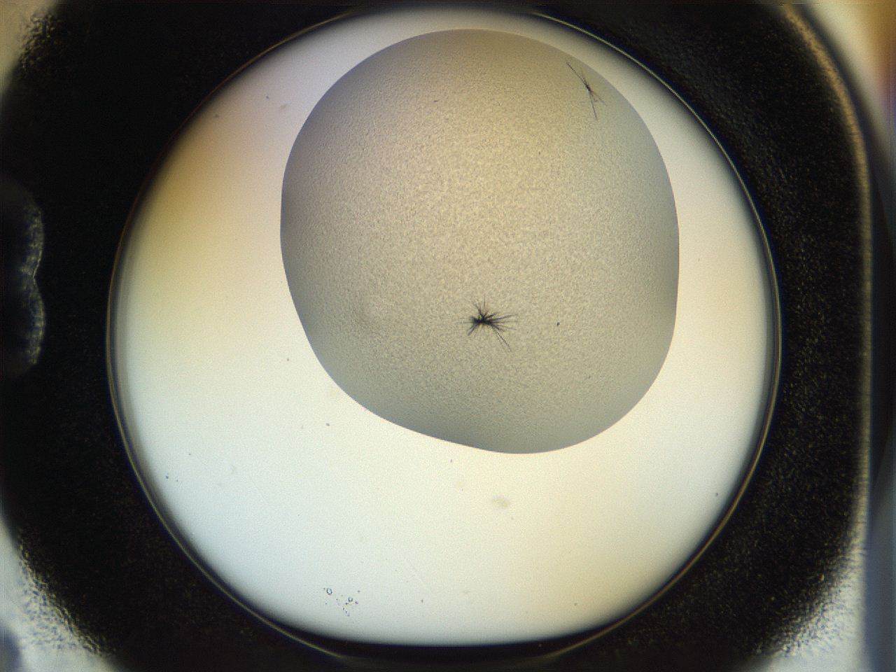 04px_B3_ImagerDefaults_7.jpg