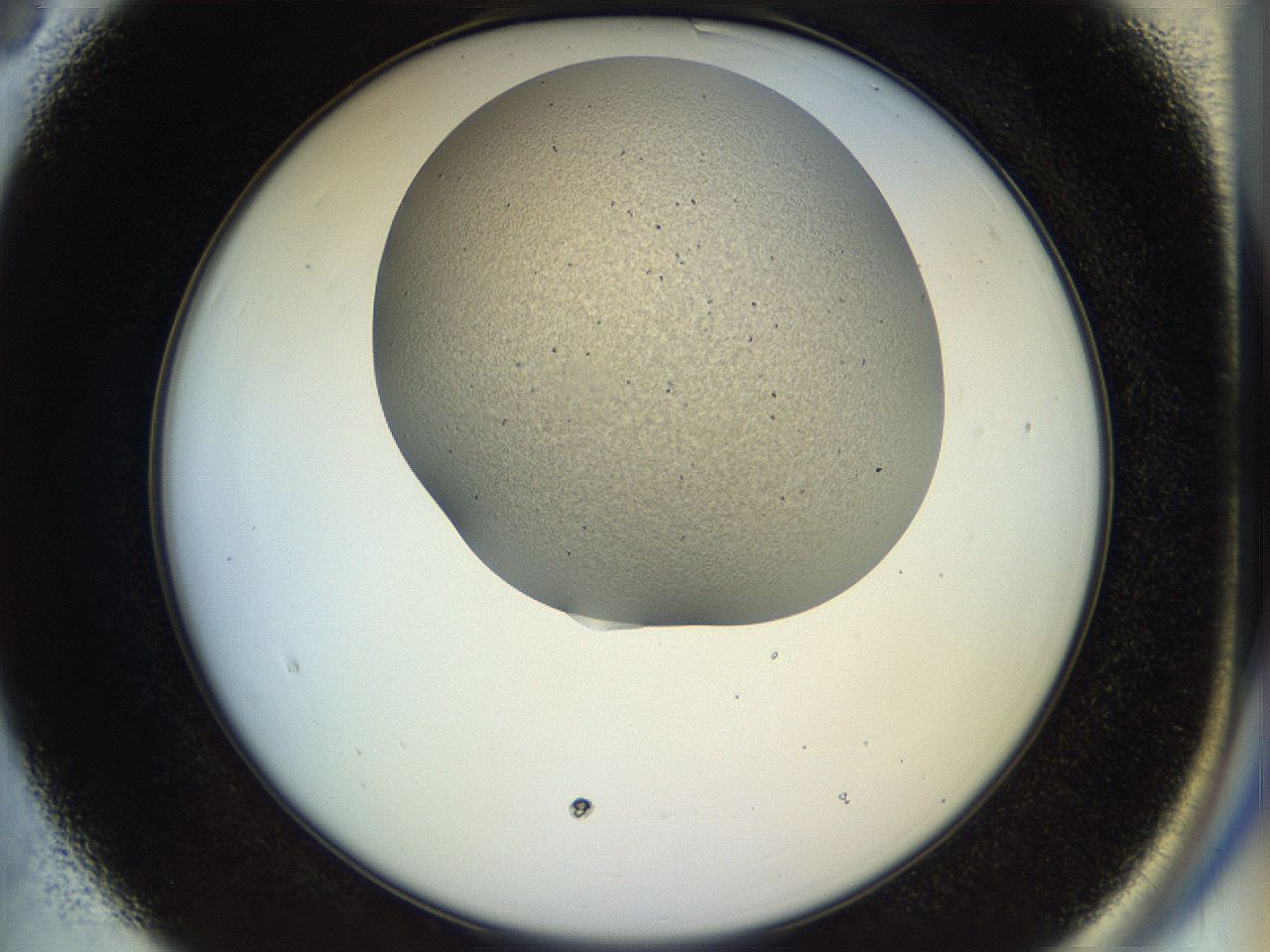 04px_B3_ImagerDefaults_6.jpg