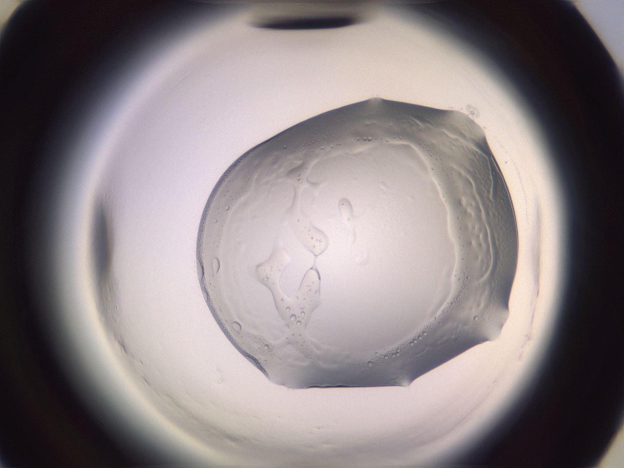 folderID612_plateID2612_batchID12789_wellNum43_profileID1_d3_r205770_ef.jpg