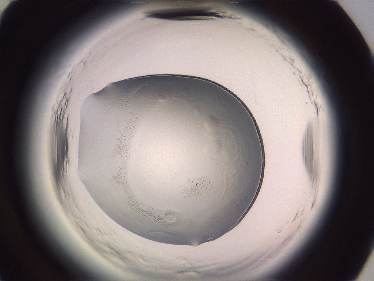 folderID612_plateID2612_batchID12789_wellNum67_profileID1_d3_r205842_ef.jpg