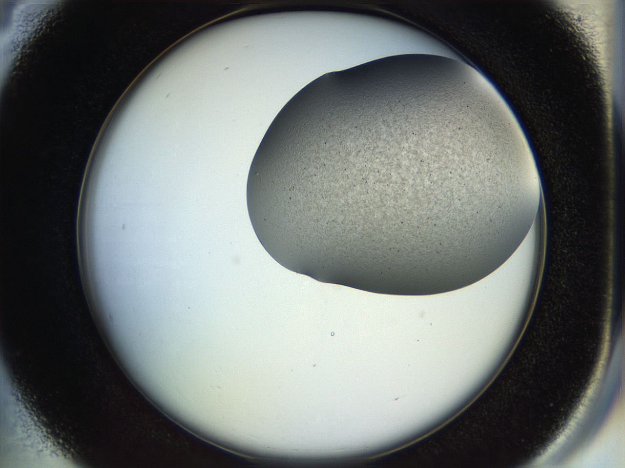 04px_B4_ImagerDefaults_6.jpg