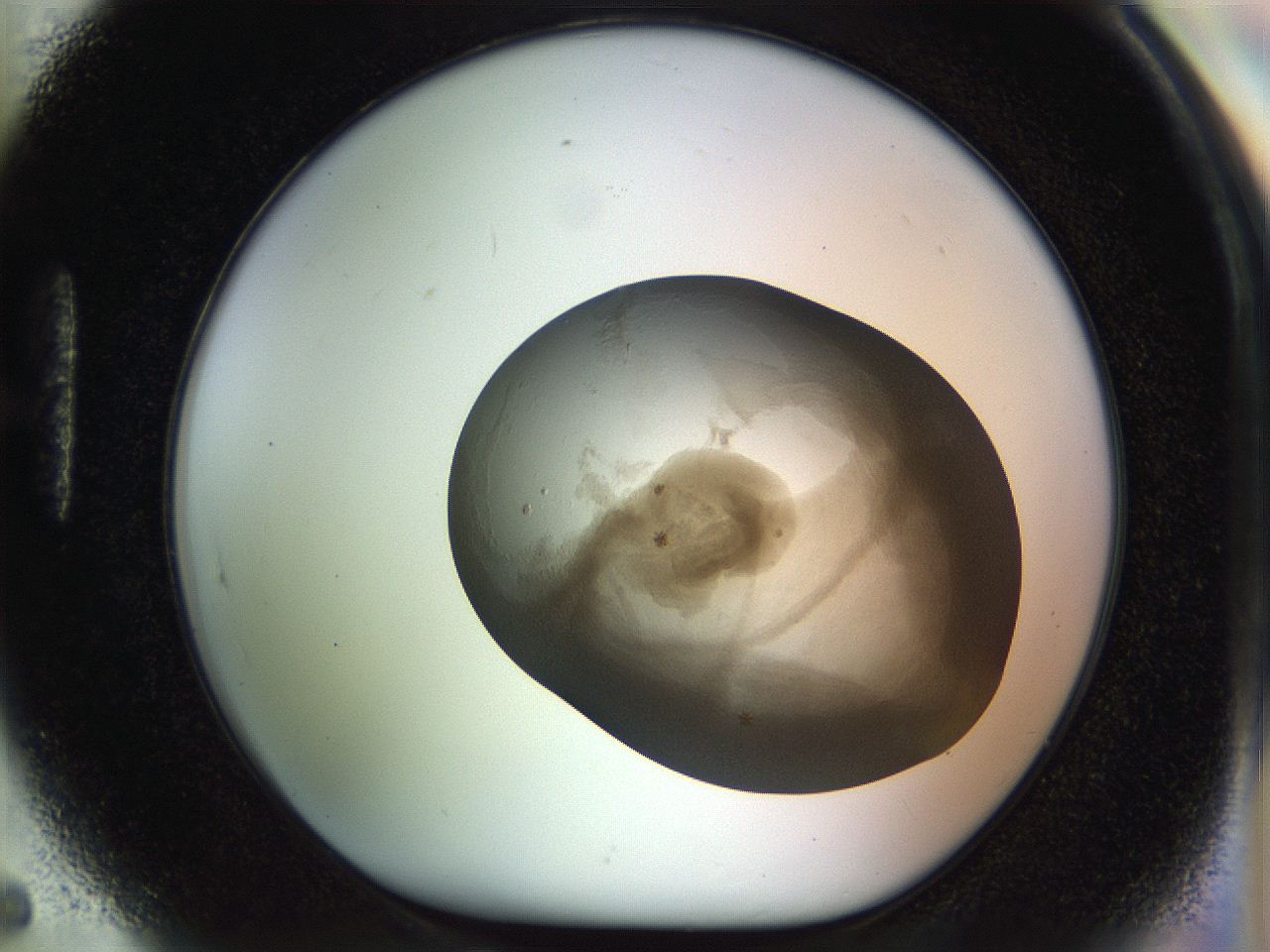 04q1_H5_ImagerDefaults_6.jpg